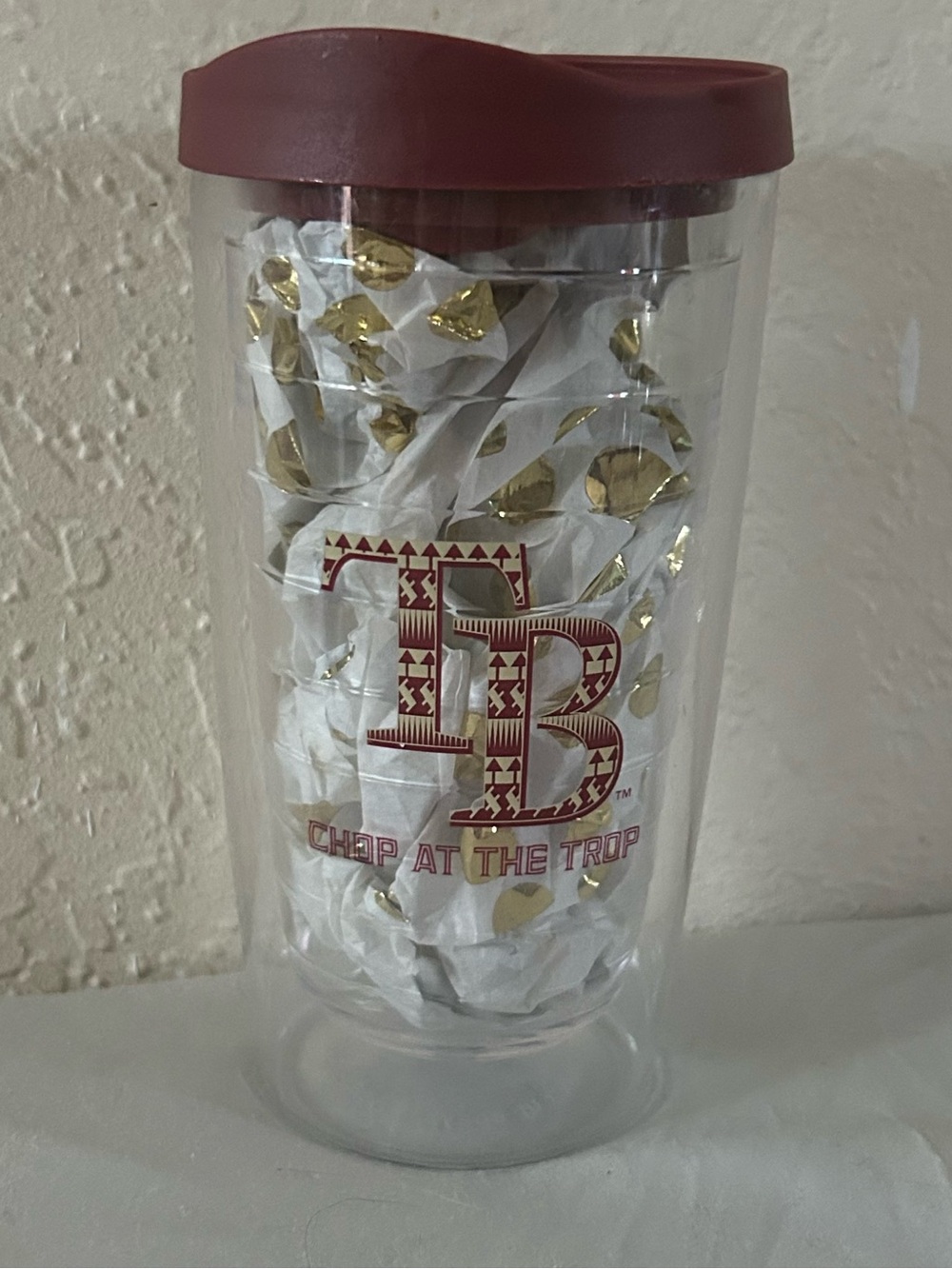 Tampa Bay Rays FSU Seminoles Chop At The Trop Promo Stadium Travel Tumbler Cup